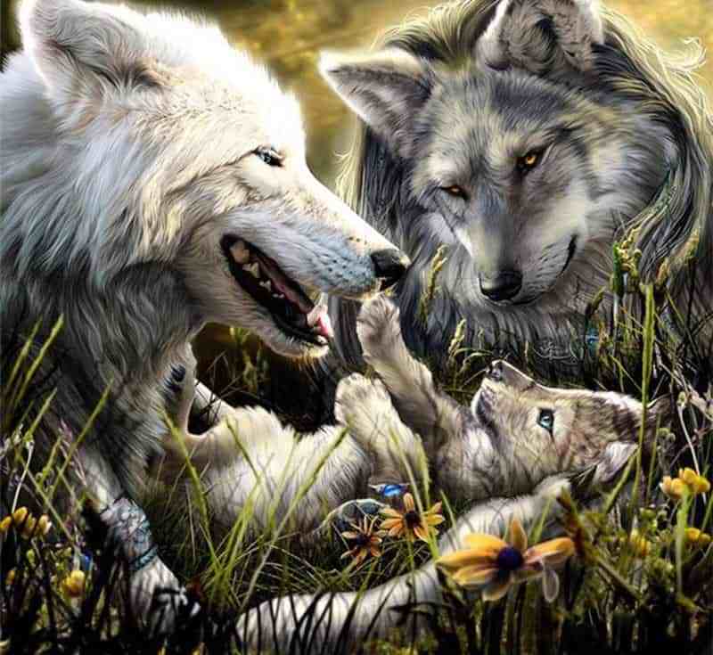 800x735 Wolf Pup Diamond Painting Kit - Wolf Pup Painting