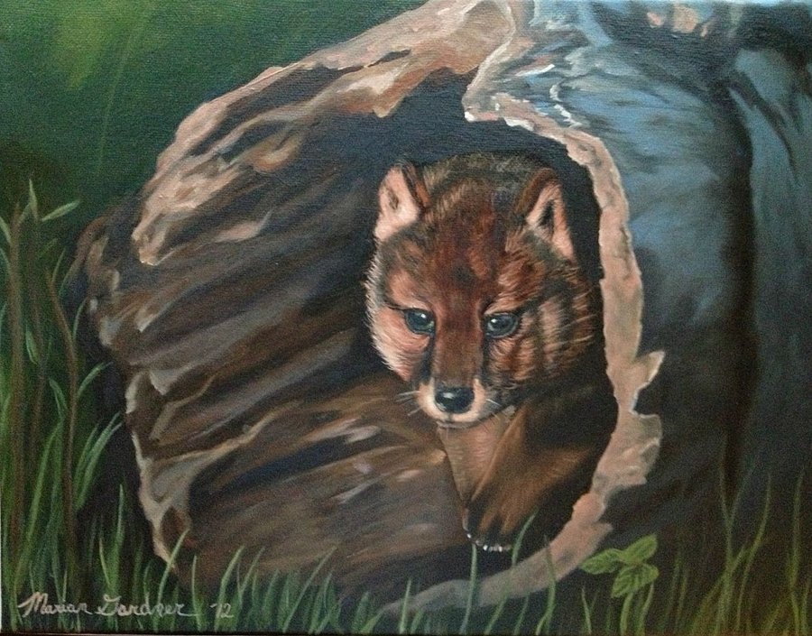 900x705 Wolf Pup Oil Painting By Mariangrose - Wolf Pup Painting