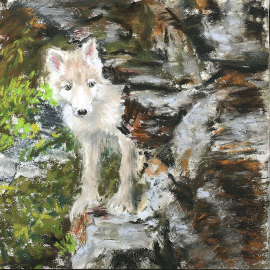 900x900 Wolf Pup Painting By Sandy Brooks - Wolf Pup Painting
