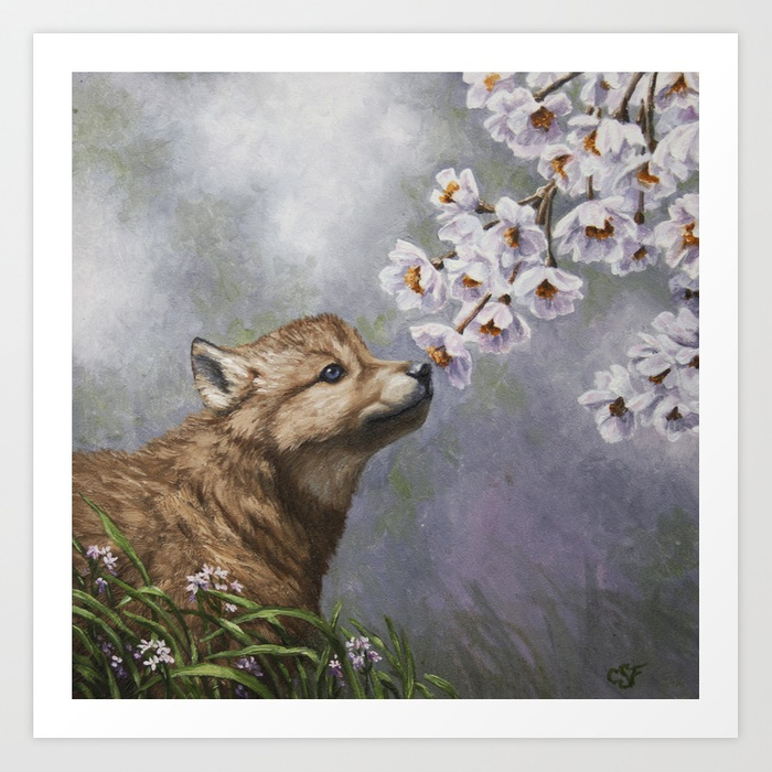 700x700 Wolf Pup And Spring Blossoms Art Print By Csforest Society6 - Wolf Pup Painting