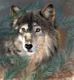 236x255 Wolf Pup Painting By David Stribbling Art - Wolf Pup Painting