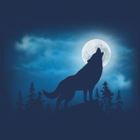486x486 Wolf Silhouette T Shirt Harlequin Nature Graphics Ltd. - Wolf Silhouette Painting