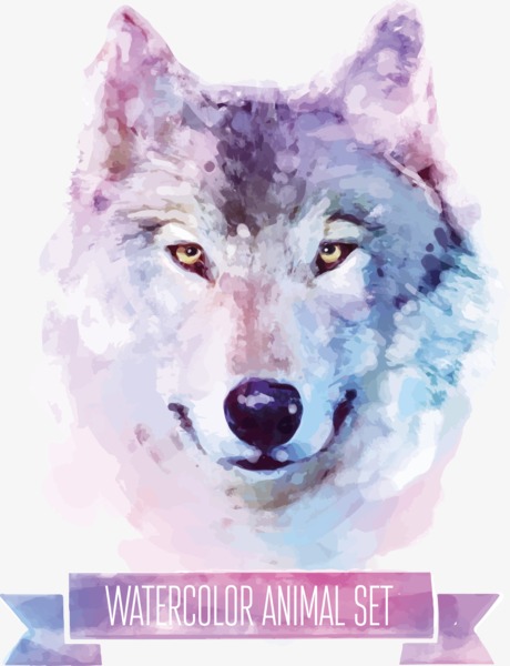 460x600 Watercolor Wolf, Hand Painted, Wolf, Animal Png Image And Clipart - Wolf Watercolor Painting