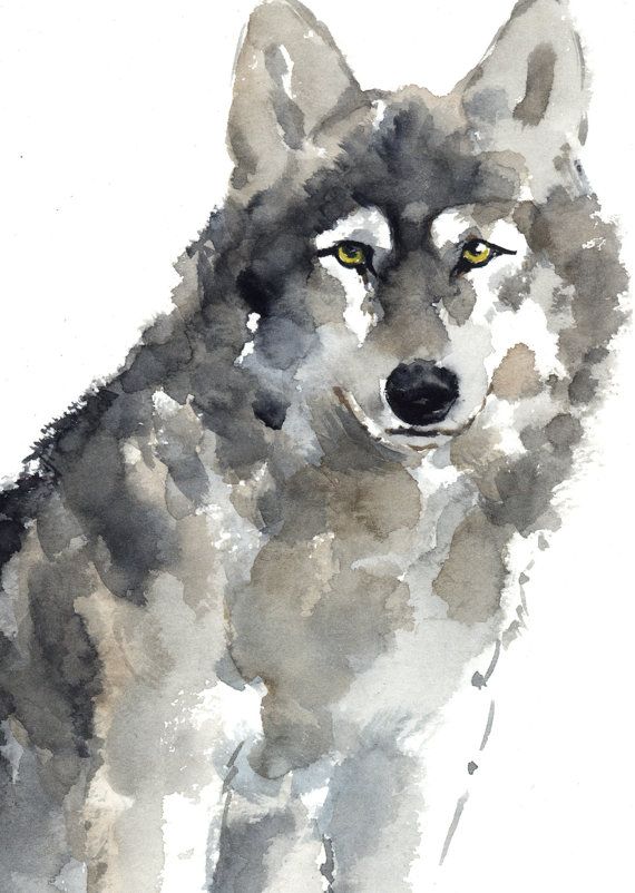 570x802 Wolf Watercolor Painting, Animal Kids Room Decor, Brown And Gray - Wolf Watercolor Painting