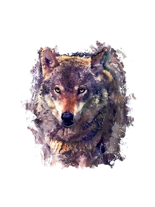 524x700 Wolf Watercolor Painting Onesie For Sale By Justyna Jbjart - Wolf Watercolor Painting