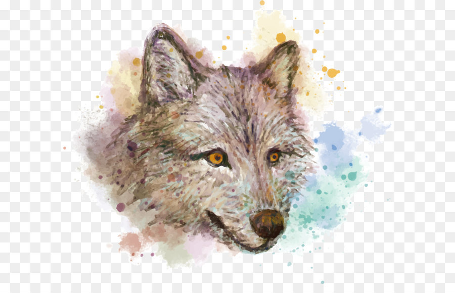 900x580 Gray Wolf Watercolor Painting Red Fox Drawing - Wolf Watercolor Painting