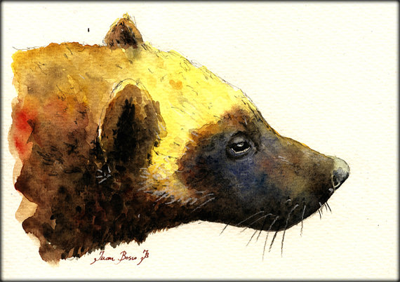 570x402 Print Wolverine Head Portrait Print Watercolor Painting Art Wall - Wolverine Animal Painting