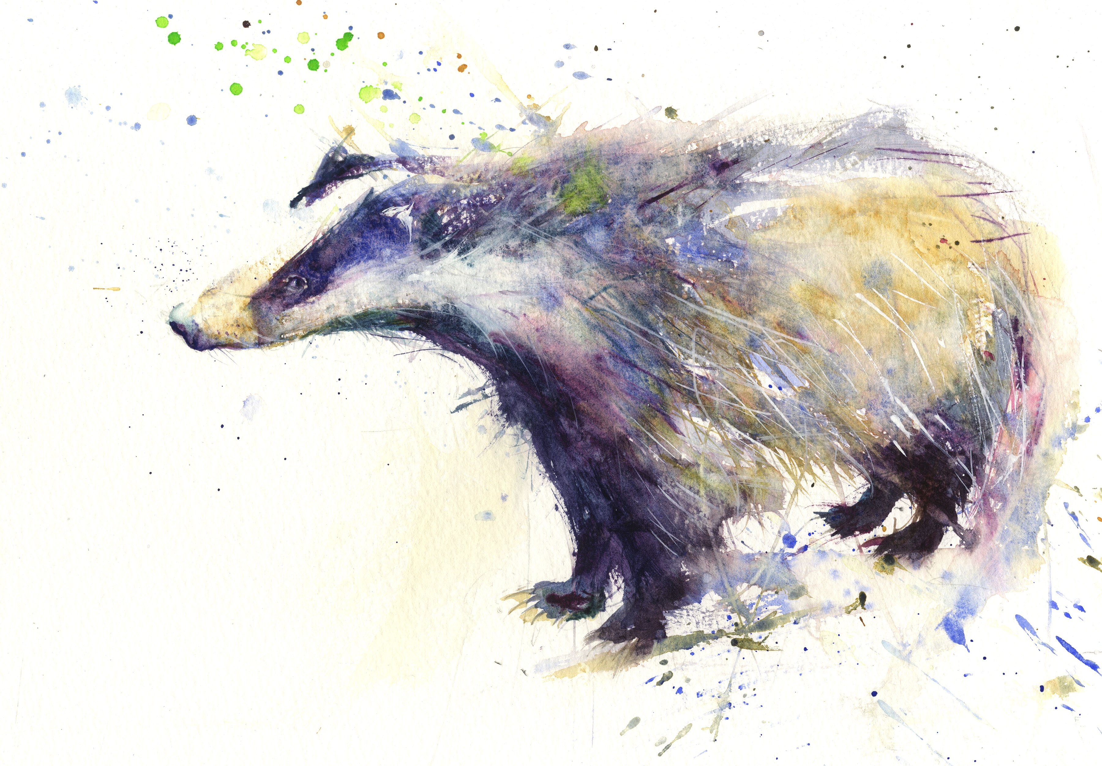 3600x2501 Signed Limited Edition Print - Wolverine Animal Painting