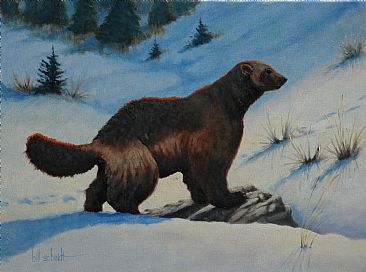 366x272 Wolverine - Wolverine Animal Painting