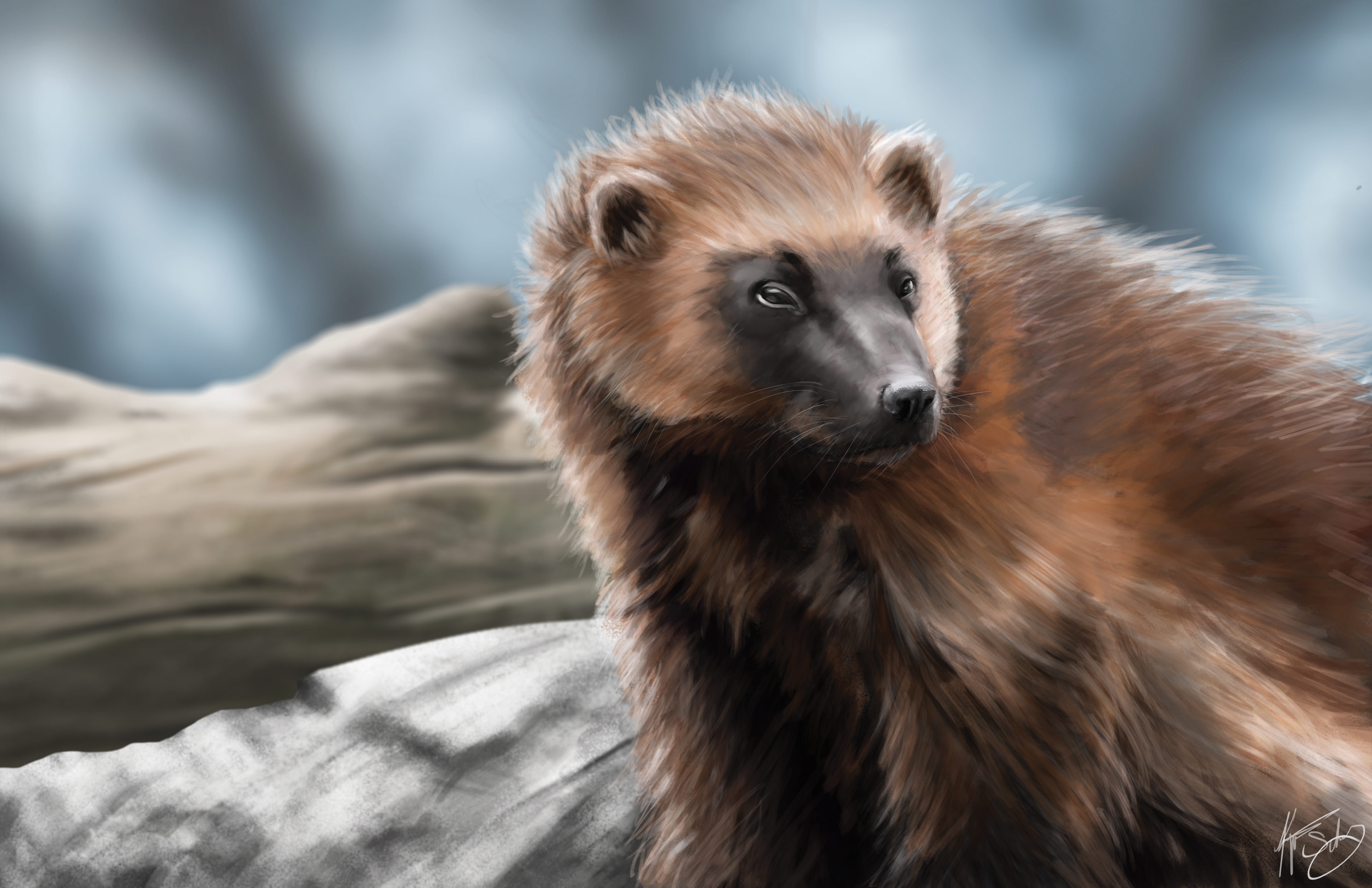 4500x2912 Wolverine Painting - Wolverine Animal Painting