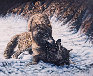 300x248 Wolverine Paintings Fine Art America - Wolverine Animal Painting