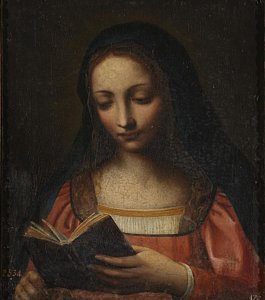 265x300 Woman Reading Book Paintings - Woman Reading A Book Painting