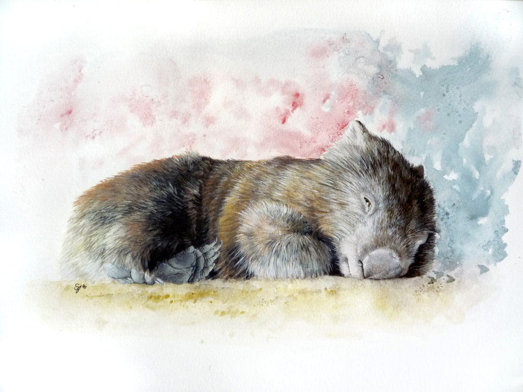 WOMBAT ART BOX 37 - JR Yahoo!フリマ（旧） 卸売 artisanfleuriste.paris