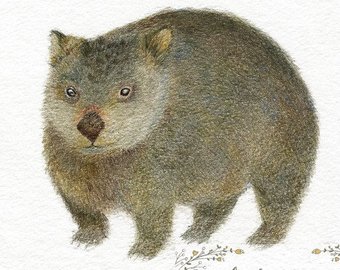 340x270 Wombat Painting Etsy - Wombat Painting