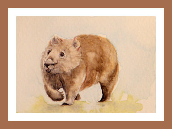 570x430 Wombat Painting Miniature Animal Original Watercolor - Wombat Painting