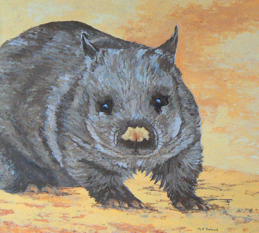 900x810 Wonderful Wombat Painting By Margaret Saheed - Wombat Painting
