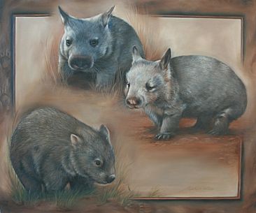 366x305 Australian Wombat - Wombat Painting
