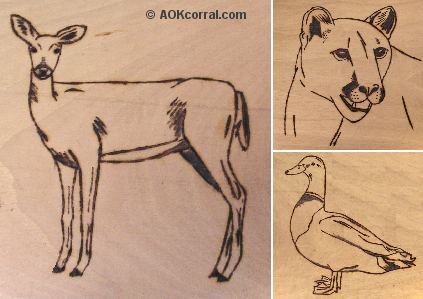 423x299 Wildlife Patterns - Wood Burning And Painting