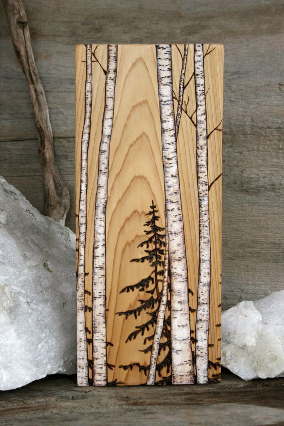570x855 Birch Trees - Wood Burning And Painting