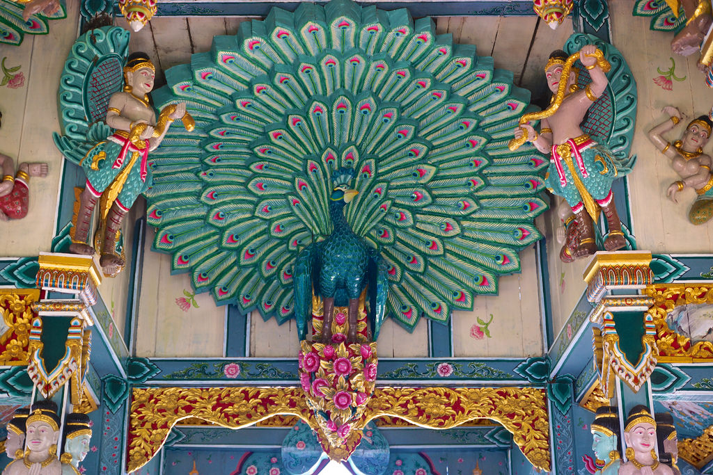 1024x683 Wood Carving And Painting Of A Peacock - Wood Carving Painting