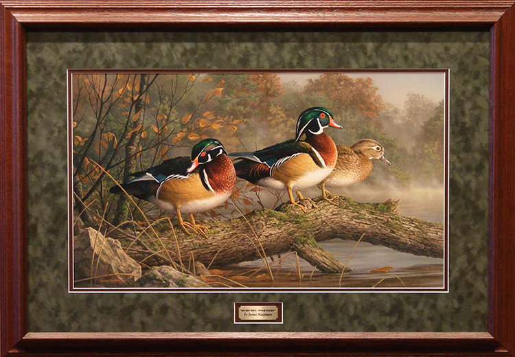 Wood Duck Painting At PaintingValley.com | Explore Collection Of Wood ...