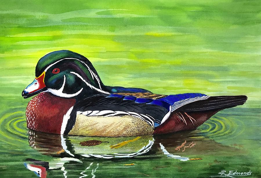 Wood Duck Painting at PaintingValley.com | Explore collection of Wood ...