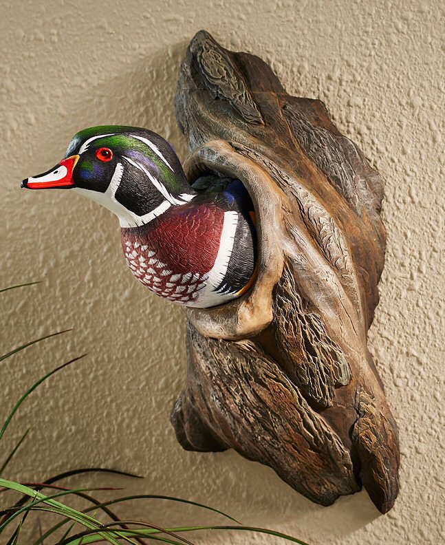 Wood Duck Painting At PaintingValley.com | Explore Collection Of Wood ...