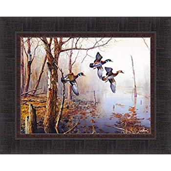 350x350 Backwater By Jim Hansel 17x21 Wood Ducks Framed Art - Wood Duck Painting