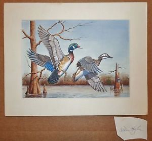 Wood Duck Painting At PaintingValley.com | Explore Collection Of Wood ...