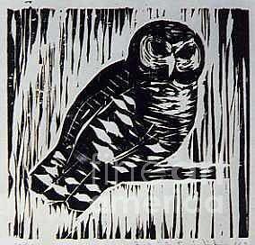 284x272 Owl Woodcut Print Drawing By Fred Jinkins - Woodcut Painting