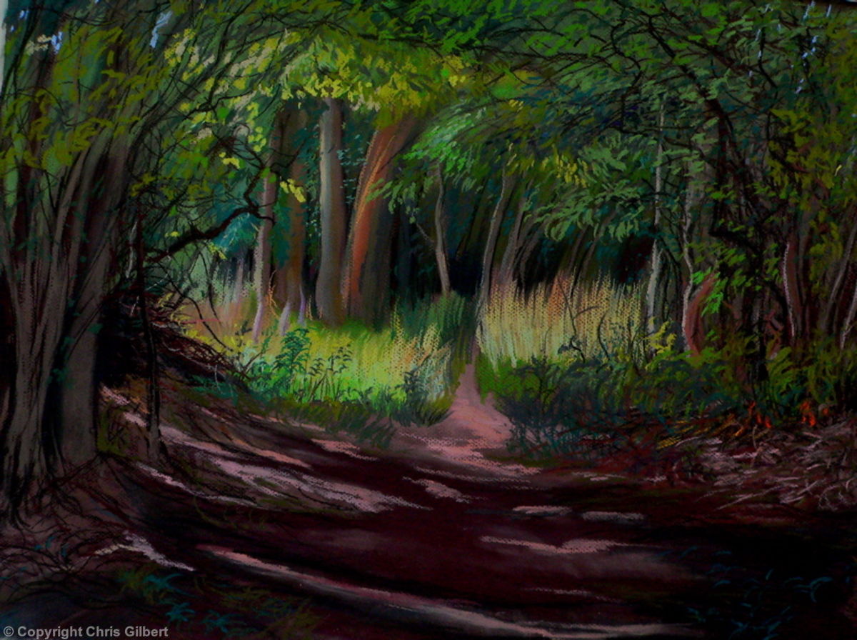 1200x896 Woodland Scene - Woodland Painting