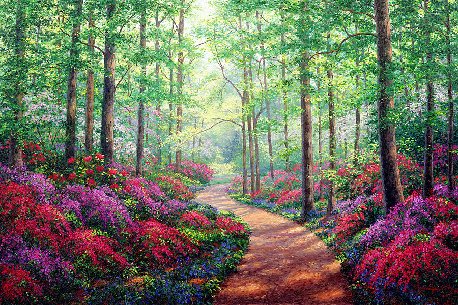 900x600 Woodland Walk Painting By Kevin Wendy Schaefer Miles - Woodland Painting