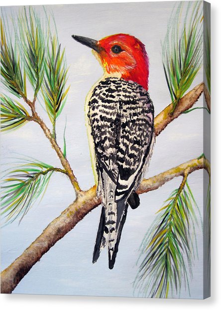 444x622 Red Bellied Woodpecker Painting By Forrest C Greenslade Phd - Woodpecker Painting