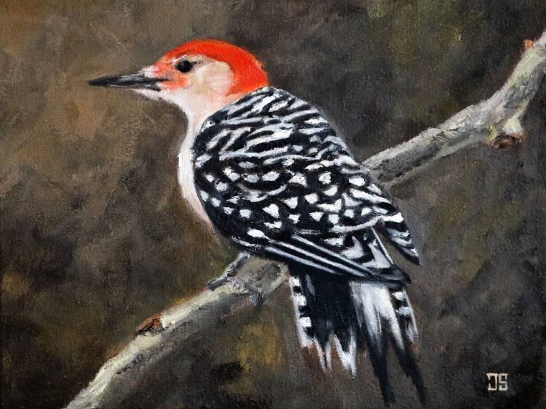 770x576 Saatchi Art Birds Of Cape Cod Red Bellied Woodpecker Painting By - Woodpecker Painting