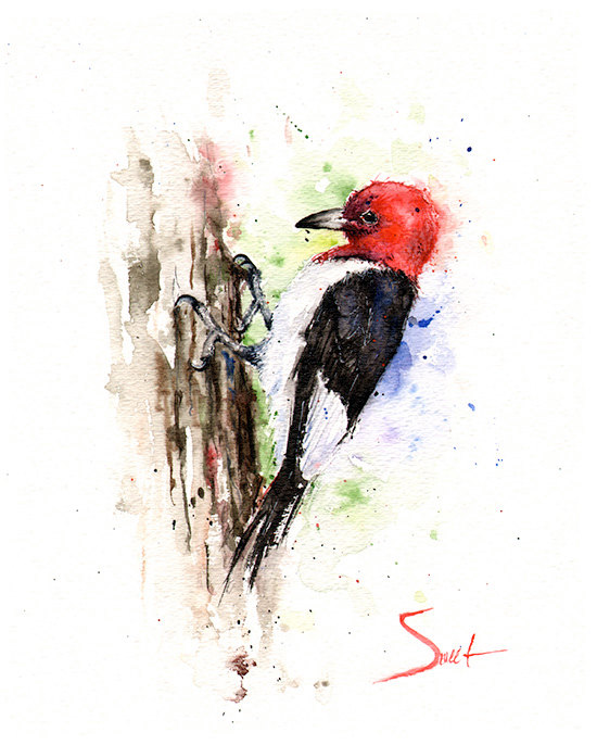 550x686 Woodpecker Art Print Red Headed Woodpecker Watercolor - Woodpecker Painting