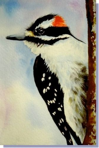 335x500 Downy Woodpecker Paintings - Woodpecker Painting
