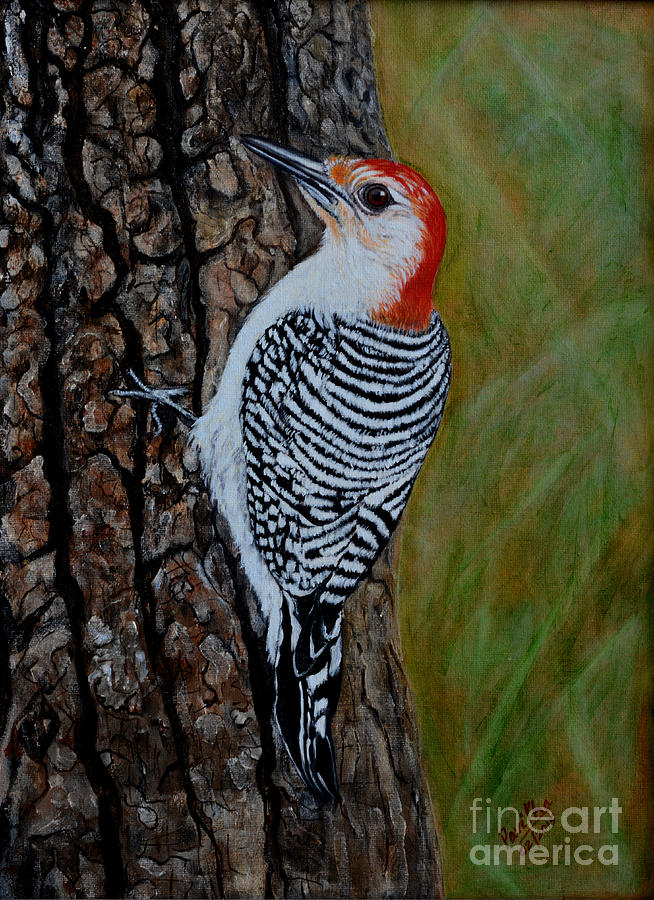 654x900 Woody Woodpecker Painting By Pavitha Ashwin - Woody Woodpecker Painting