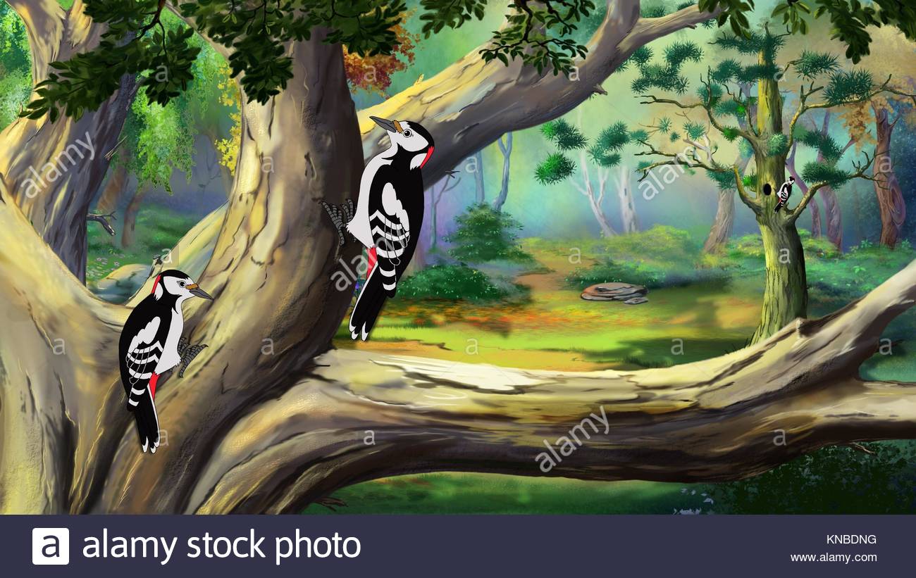 1300x821 Woody Woodpecker Cartoon Stock Photos Amp Woody Woodpecker Cartoon - Woody Woodpecker Painting