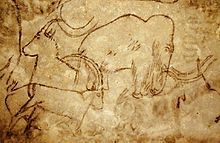 220x143 Rouffignac Cave - Woolly Mammoth Cave Painting