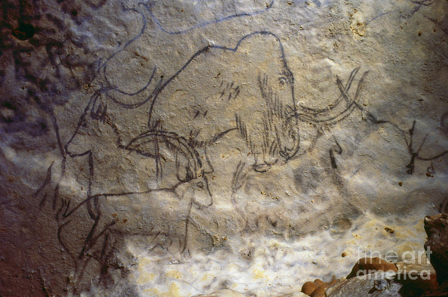 Woolly Mammoth Cave Painting At Explore Collection Of Woolly Mammoth Cave