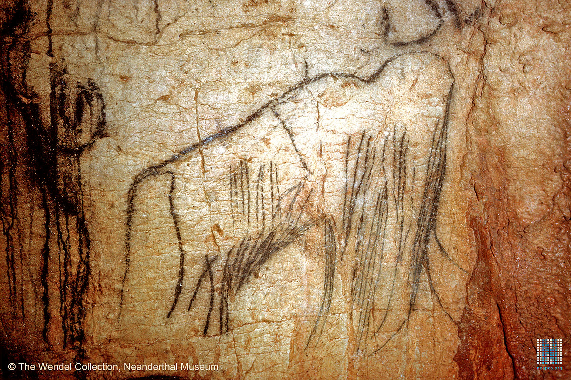 Woolly Mammoth Cave Painting at Explore collection
