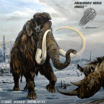 334x335 Wooly Mammoth - Wooly Mammoth Cave Painting