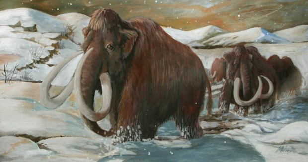 620x326 Let's Totally Clone A Mammoth Old Road Apples - Wooly Mammoth Painting