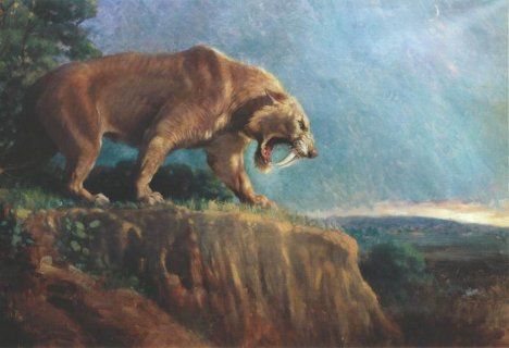 468x320 What Do Woolly Mammoths And Whales Have In Common Treehugger - Wooly Mammoth Painting