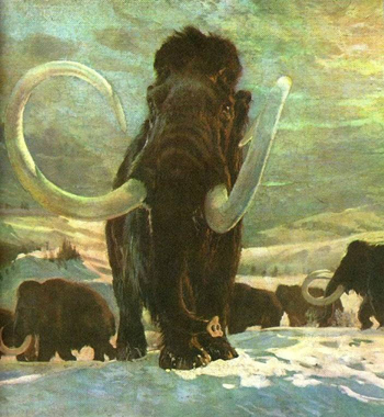 350x380 What Were The Mammoths - Wooly Mammoth Painting