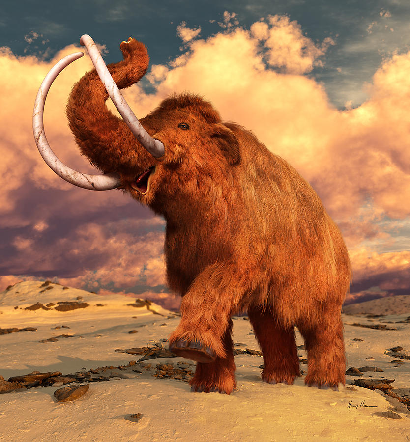 Фотка мамонта. Woolly Mammoth. Рыжий мамонт. Фотография мамонта. Огненный мамонт.