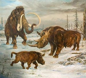 300x272 Woolly Mammoth Amp Coleodonta, Giclee On Canvas - Wooly Mammoth Painting