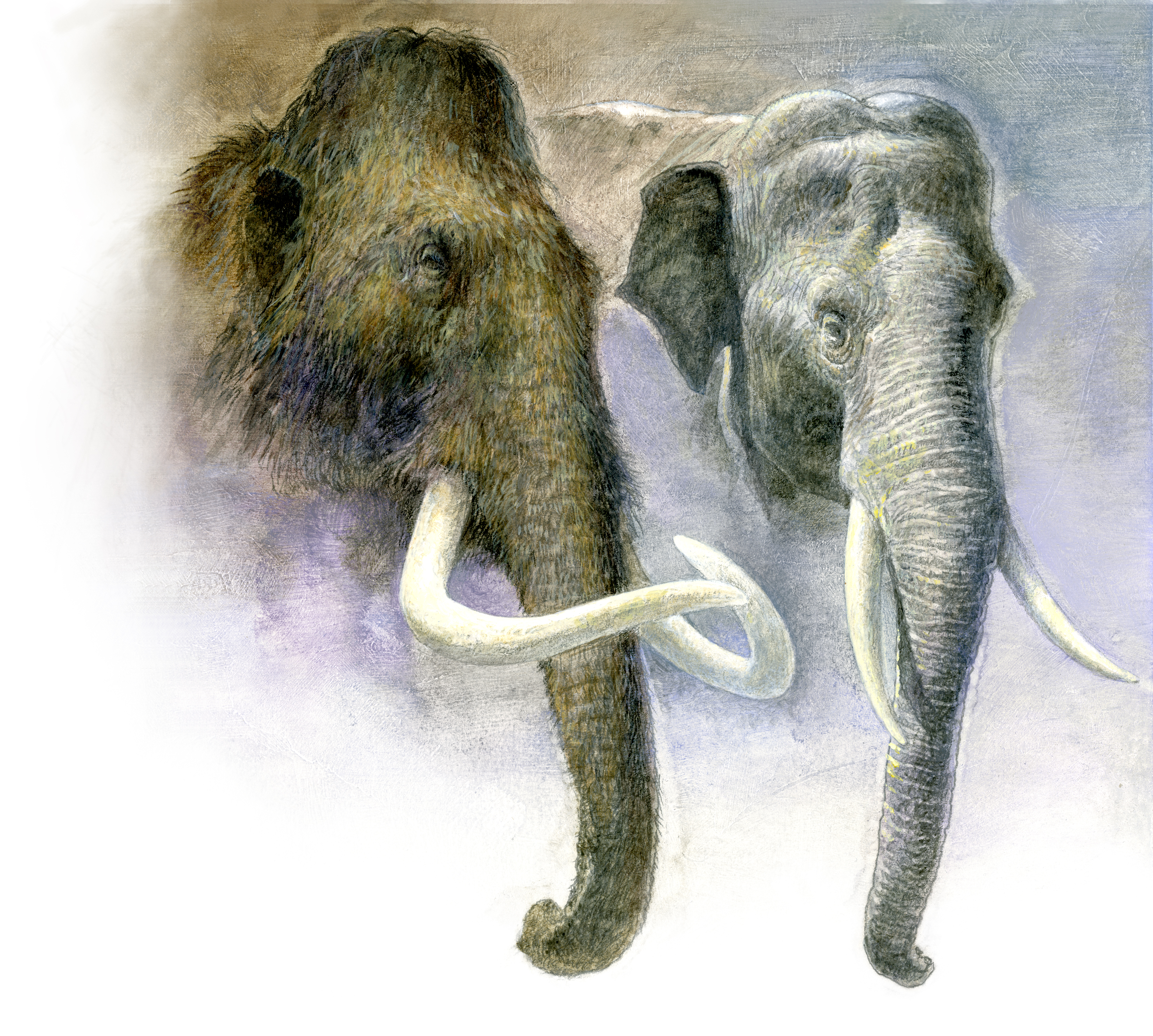 3307x2973 The Woolly Mammoth To Rise Again Dispatches From The Stacks - Wooly Painting