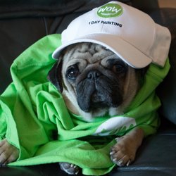 250x250 Wow 1 Day Painting - Wow Painting