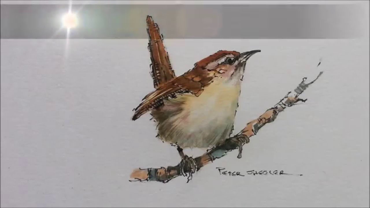 1280x720 How To Paint A Bird, Wren Tutorial. Quick And Easy! With Peter - Wren Painting
